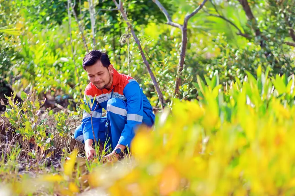 Pertamina Kembangkan Kawasan Mangrove dan Kelola Sampah Kamal Muara