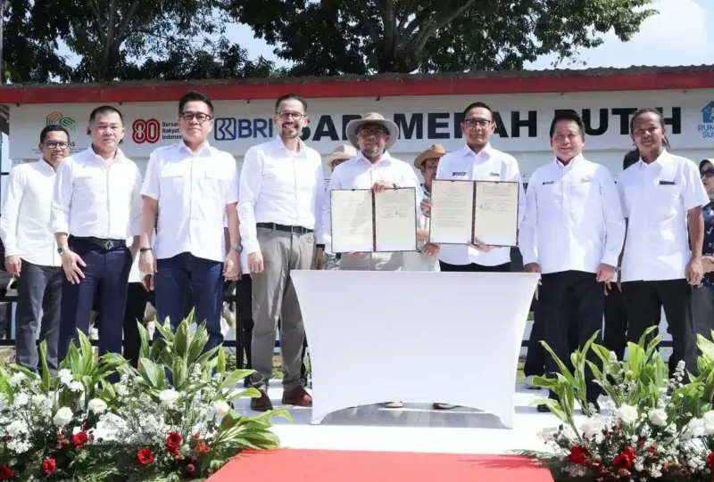 BRI Perkuat Swasembada Pangan Lewat Program Sapi Merah Putih, Siap Wujudkan Ketahanan Pangan Nasional!