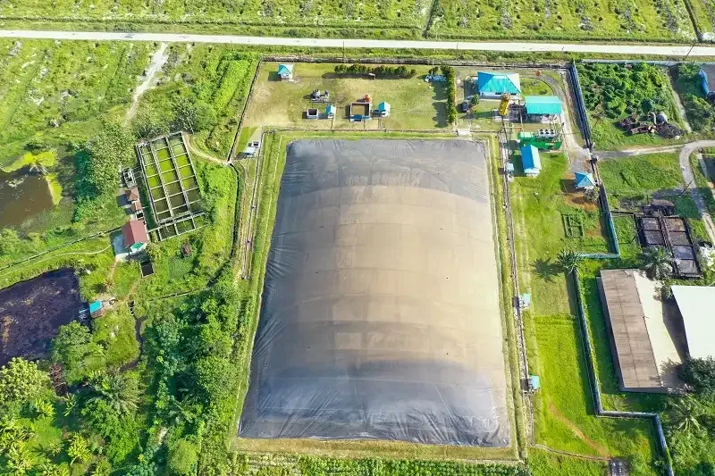 Capai Rekor! Pertamina NRE Sukses Tingkatkan Energi Terbarukan 14 di Paruh Pertama 2025