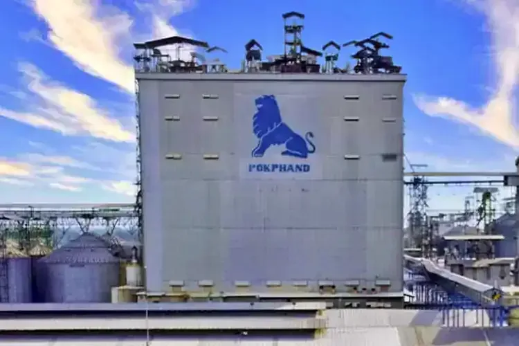 CPIN Tetap Jadi Primadona Saham! Target Harga Naik Meski Laba Bersih Merosot