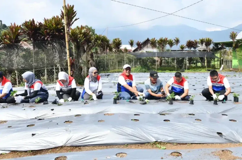 Dari Energi Hingga Edukasi: Kisah Sukses Pertamina Membangun Desa Rantau Dedap