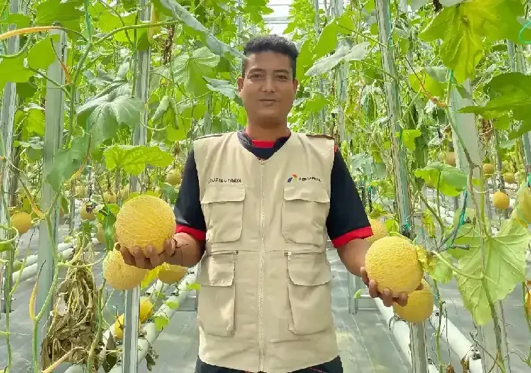 10 Ribu Warga Dilibatkan Pertamina di Proyek Energi Hijau, Ini 5 Manfaat yang Mereka Dapatkan!