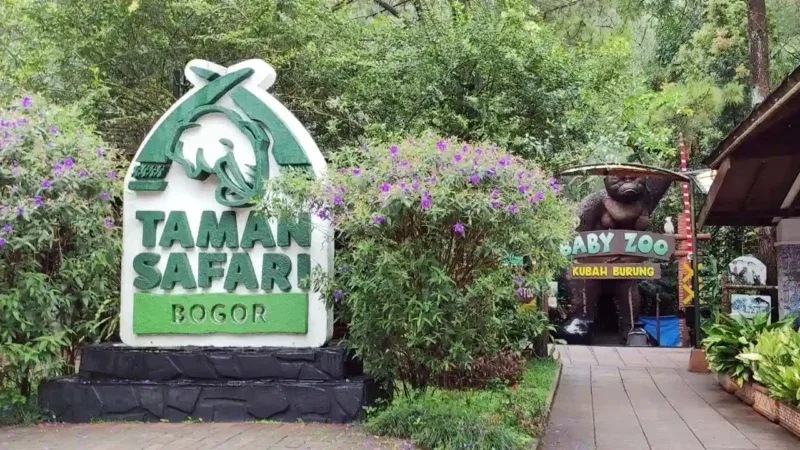 Taman Safari Buka Suara Soal Kasus Korupsi Kebun Binatang Bandung!