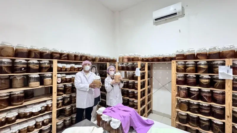 UMKM Kesehatan Ini Sukses Tembus Pasar Berkat Program BRI Pengusaha Muda BRILiaN