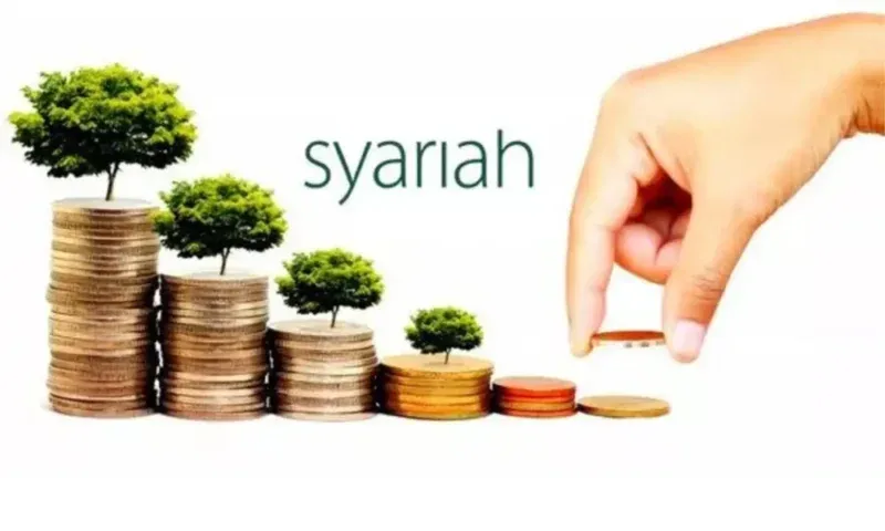 Gempur! Asuransi Syariah Buka Gerbang Wakaf Modern di Indonesia