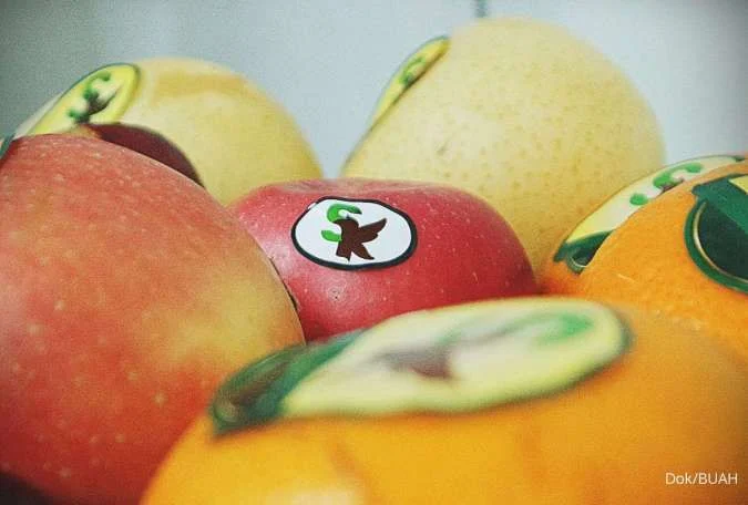 GARIS BESAR Dividen BUAH 2025: Simak Jadwal dan Nilai Pembagiannya!