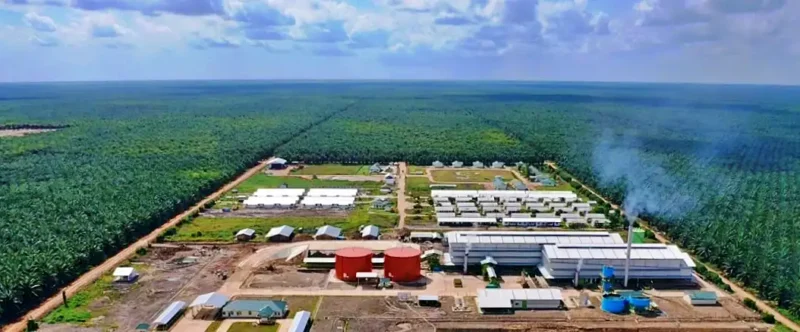 Rahasia Dividen TAPG 2025 Terungkap! Simak Analisis Lengkapnya di Sini