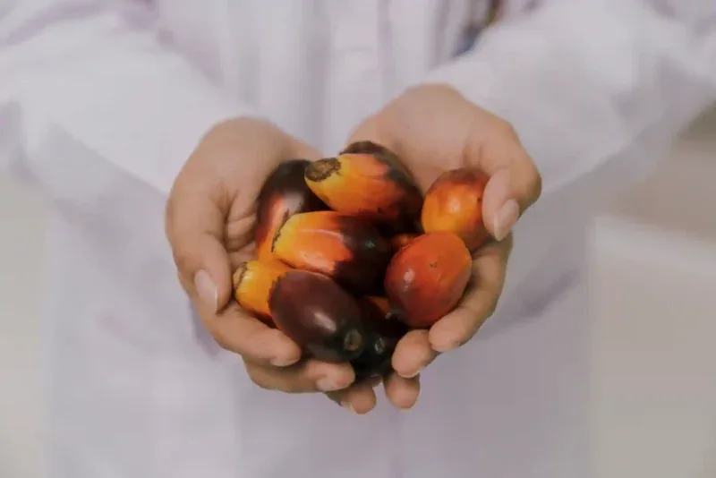 JARR Siap Meluncur Lagi? Intip Prospek Haji Isam di Pasar Saham Minggu Depan!