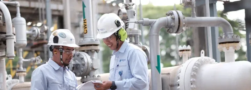 Saham BRPT Anjlok 12,36! Saatnya Beli