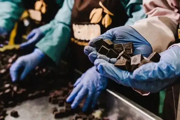 COCO Gegerkan Pasar: Saham Menggila