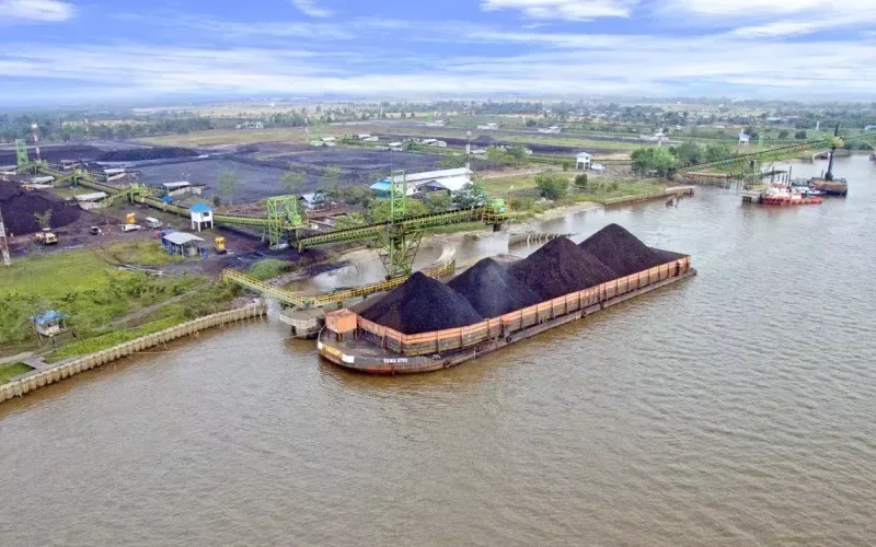 TEBE Cetak Rekor! Sahamnya Naik 350, Ini Rahasia di Balik Aksi Borong Investor