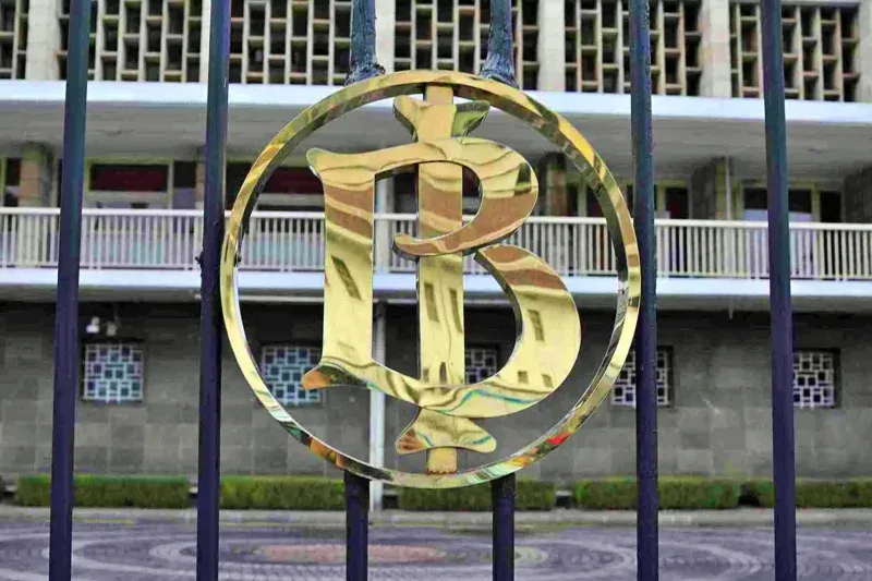 Tetap Tangguh di Tengah Badai: Strategi Ramp;I yang Jaga Peringkat Indonesia di BBB