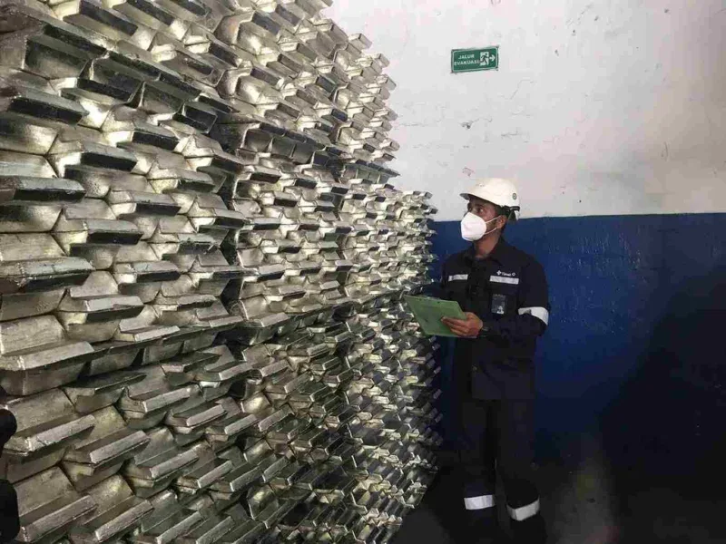 Hanya 5! TINS Galakkan Gerakan Serap Produk Lokal