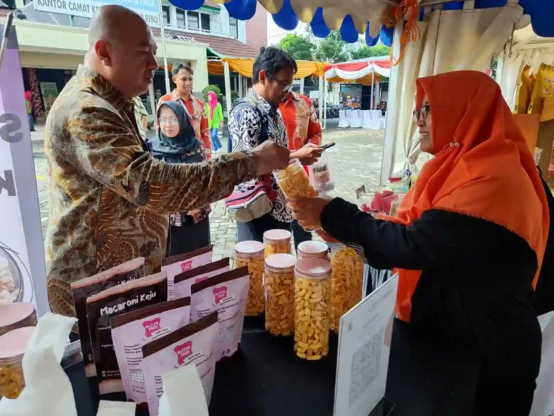 Bocoran Rahasia Sulis: Dari Nol Jadi Jutawan Berkat Kue Kering, Dibantu BRI!