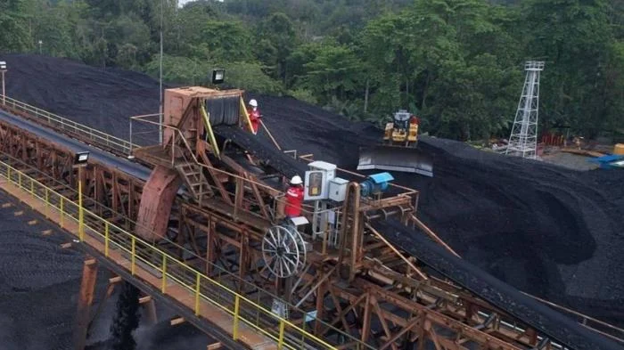 Rahasia Dividen MCOL 2025: Jadwal, Besaran, dan Jejak Pembayaran Terungkap!