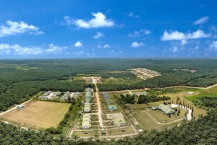 5 Saham Grup Triputra yang Wajib Kamu Pantau: Analisis Kinerja Valuasi Terkini