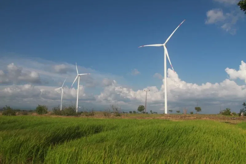 Indonesia Siap Terima Rp350 Triliun, Dana Besar Ini Ditujukan untuk Ekonomi Hijau!