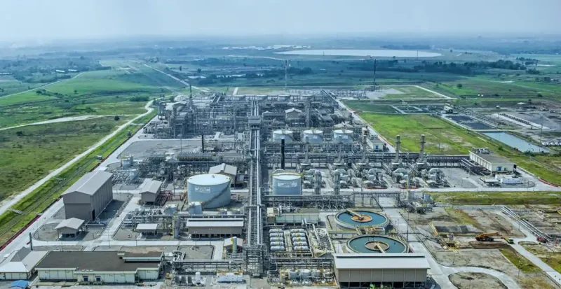 RAJA: Siapa Saja Pemegang Sahamnya? Cek Daftar Lengkapnya!