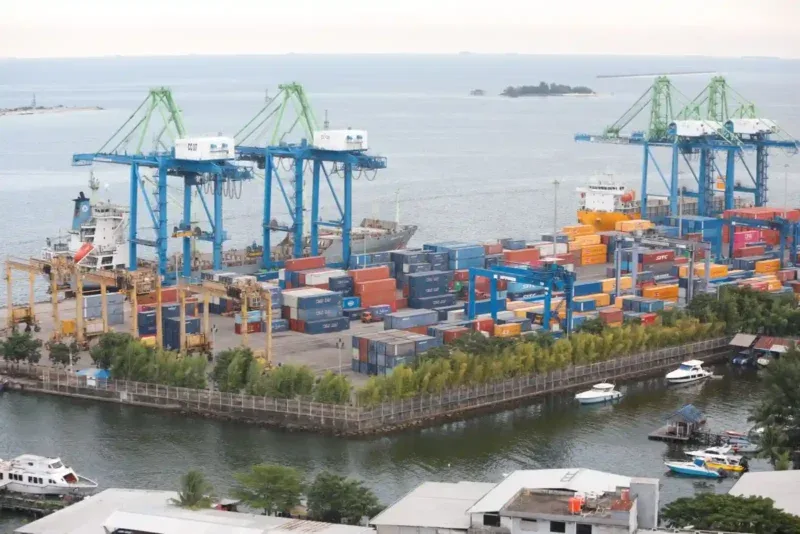 Tylenol Asal Indonesia Gempur Pasar Korea, Raih Transaksi Rp2,4 Miliar!